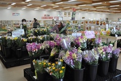 ＪＡグループ栃木農産物直売所　農産物直売所さくら　ＪＡしおのや　広い店舗、商品に独自色