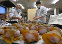 桜餅作り大詰め