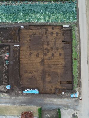 掘立建物跡と掘立柱塀跡（下野市教育委員会提供）
