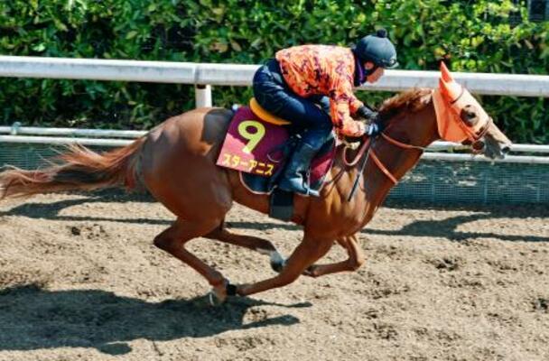 桜花賞に向け調整するスターアニス=栗東トレーニングセンター