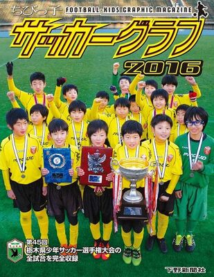 ちびっ子サッカーグラフ2016