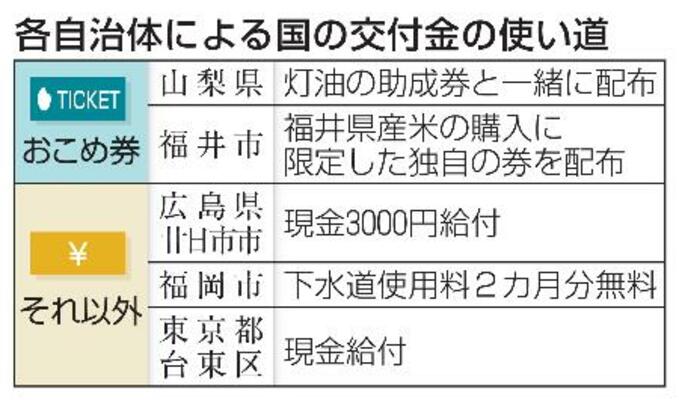 　各自治体による国の交付金の使い道