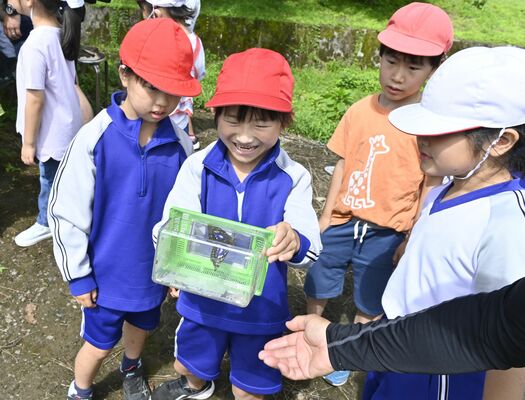 オオムラサキの成虫に喜ぶ児童