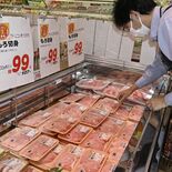 【栃木県民の日】「モロ」知っていますか？栃木県特有のサメ食文化　季節問…