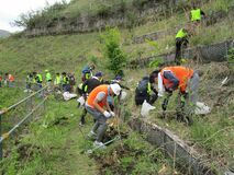 砂防ダム周辺７５０本植樹／足尾でＮＴＴ東など	