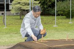 天皇陛下が種もみまき