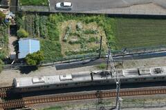 事故に警鐘「生」の花文字