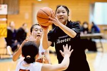 下野新聞社杯第49回県ミニバスケットボール大会（第２日女子）