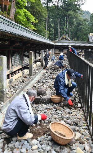 石を返して、ごみを取り除く参加者たち＝26日、日光山輪王寺大猷院