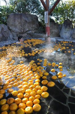 一面にユズが浮かぶ露天風呂