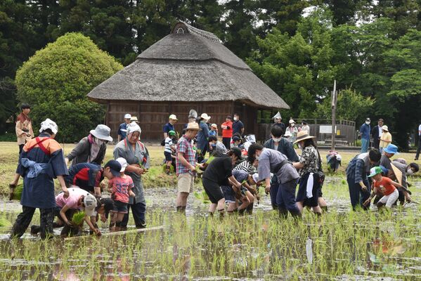 報徳田で田植えを体験する子どもたち