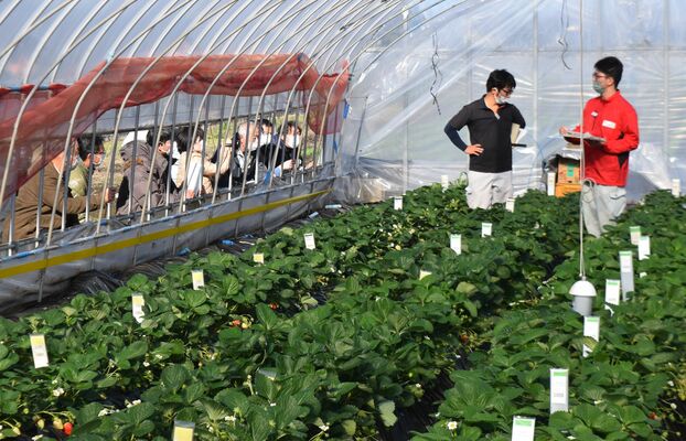 いちご研究所で開催されたセミナー。生産者（左）を対象に、開発から栽培方法まで幅広い研究成果が紹介された＝７日、栃木市大塚町