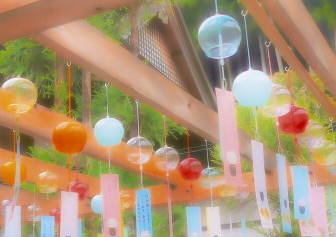 入選「真夏の夢」手塚　靖（宇都宮）