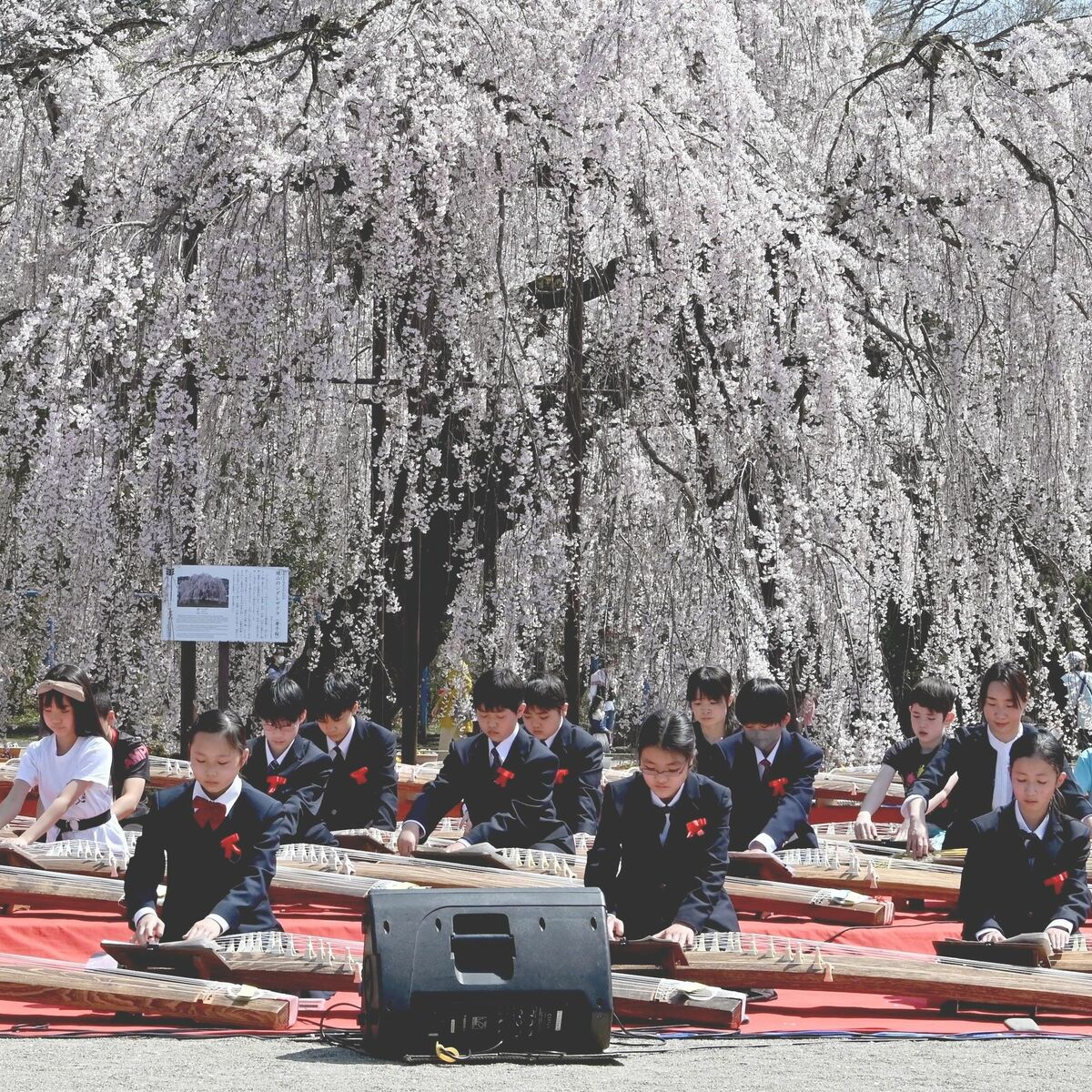 廃校の危機も回避、宇都宮城山西小に文科省表彰 「学校だけでは実現