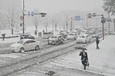 栃木県内に警報級大雪、宇都宮21年ぶり10cm超え　スリップ事故やダイヤ乱れ相次ぐ、転落事故も