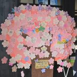 卒業祝う「桜」満開　日光・下今市駅にメッセージツリー