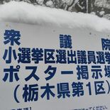 衆院選栃木　午後２時現在の投票率は13.59％　期日前含め41.04％