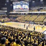 バスケ男子日本代表戦、11月に日環アリーナ栃木で初開催　誘致協力の協会…