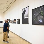 鹿沼で愛好家グループ「写楽83」の写真展　珍しい被写体捉えた力作も