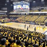 バスケ男子日本代表戦、11月に日環アリーナ栃木で初開催　誘致協力の協会「トップのプレー見て」