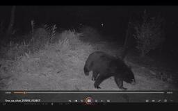 行動に制限、危機感深刻