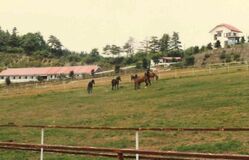 優駿を輩出、触れ合いも