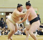 復活期す大の里 「優勝を目指す」