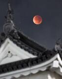 月と地球のかくれんぼ