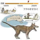 ライバル登場でピンチに