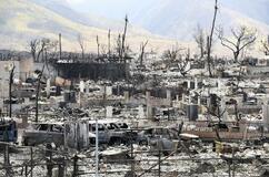 ＣＯ２、３０年に６１０万トン増