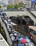 栃木県内が梅雨入り