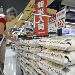 2025年産新米、栃木県内の店頭に並ぶ　「バブルと言えるほど」激しさ増す集荷競争　農家の受け止めは