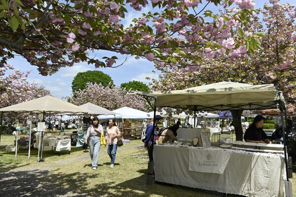 満開の桜の下、ゆったりと買い物などを楽しむ来場者