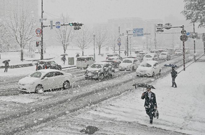 栃木県内に警報級大雪、宇都宮21年ぶり10cm超え　スリップ事故やダイヤ乱れ相次ぐ、転落事故も