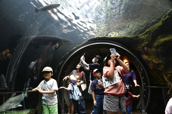 ピラルクーなど水槽の中の魚を興味深く見る来場者
