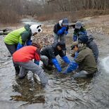 「水中の紅葉」がいる原風景へ　ヒメマスの発眼卵６万1700粒を放流　千…