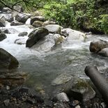 「これ以上降ったら…」台風接近に養魚場など戦々恐々　過去の大雨では故障…