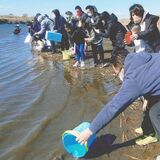 サケ大不漁で苦渋の決断　佐野の市民団体、40年以上続いた放流活動を休止