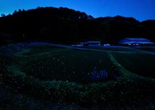 八溝のホタル写真集に