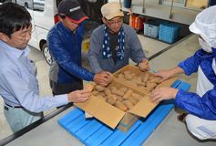 町外から移住、新規就農者らの有機野菜を給食に　茂木の小中学校