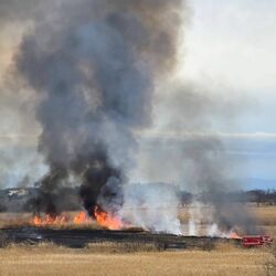 渡良瀬遊水地で火災、延焼中 3月7日にはヨシ焼きの予定も