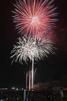 夜空を彩った尊徳夏まつりの大花火大会
