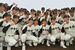 甲子園での健闘を誓い、気勢を上げる作新ナイン＝27日午後４時10分、宇都宮市一の沢１丁目