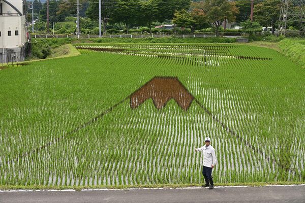 別の場所には富士山も