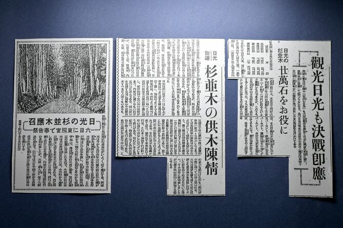 日光杉並木の供木に関する１９４３年の本紙記事。右から「観光日光も決戦即応」（２月22日付）「杉並木の供木陳情」（２月26日付）「日光の杉並木応召」（７月３日付）