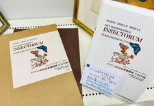 傑作昆虫本、日本語訳書に　栃木県内のチョウ愛好家２人が尽力