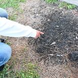 7人で通話しながら物色か 女性を殴打、柴犬を撲殺…浮かぶ手荒い犯行 被…