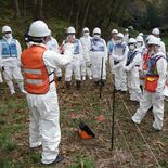 国内未確認でも…アフリカ豚熱を警戒　県職員ら、茂木で電気柵設置演習