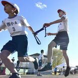 たすき渡しも元気よく　高根沢で初の小学生駅伝　６年生２５０人駆ける