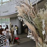 廃棄された花をドライフラワーに　宇都宮でオブジェ制作、イベント彩る